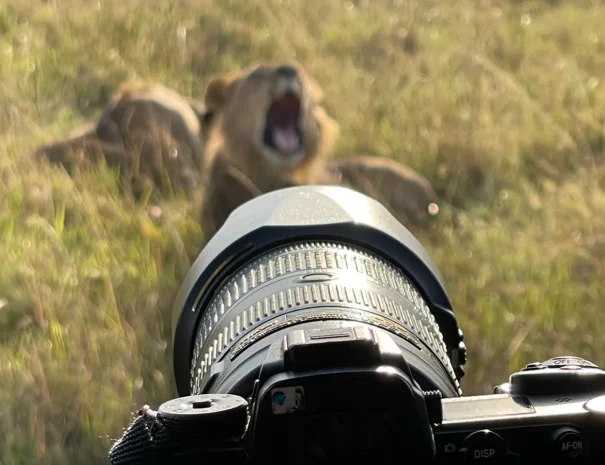 nairobi National park